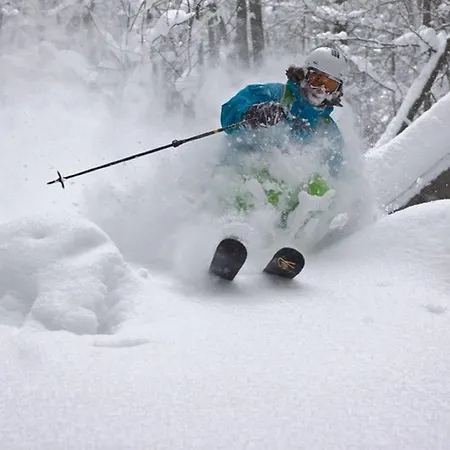 Отель Smrecina Low Tatras
